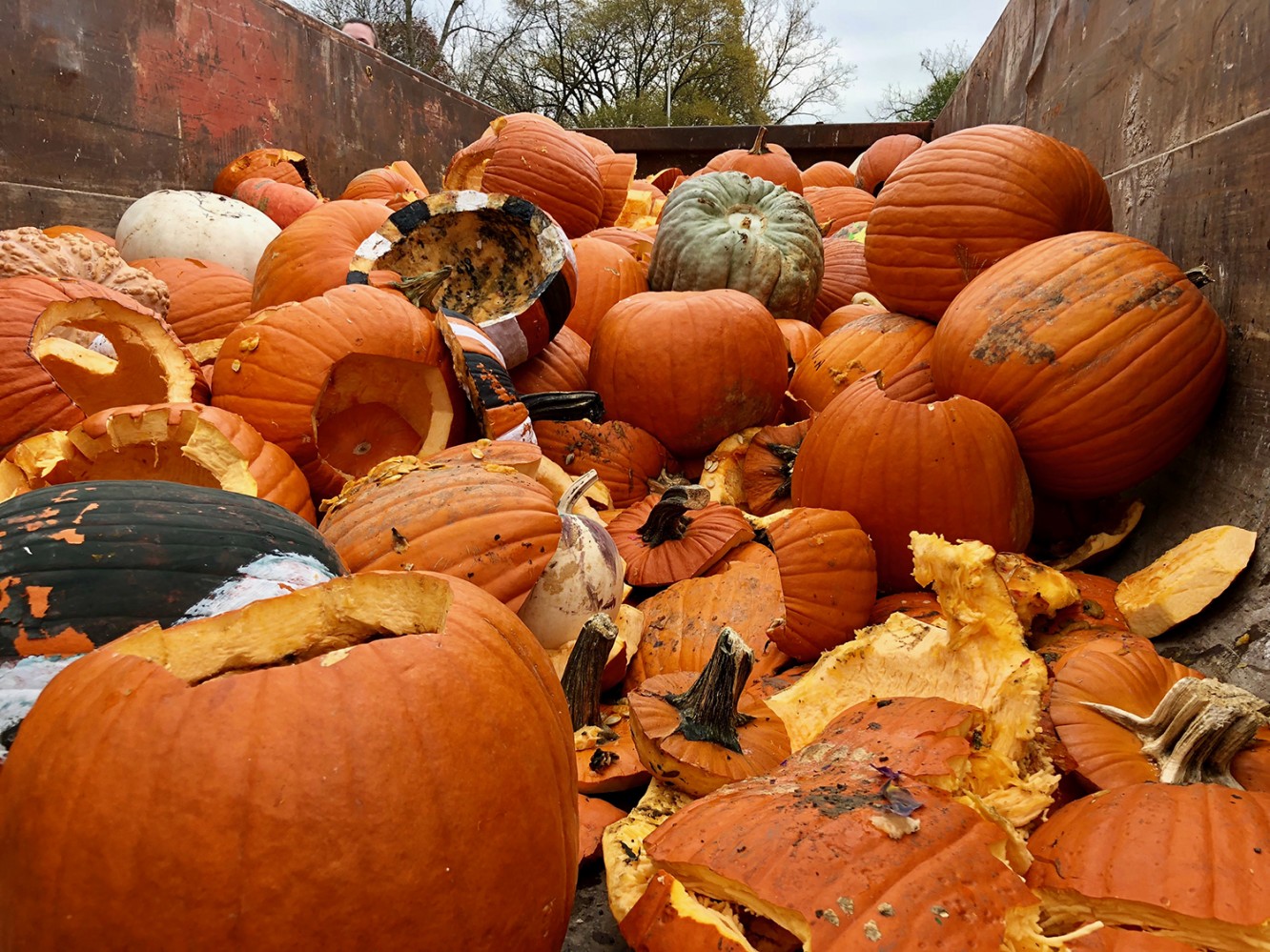 Pumpkin Composting Event 2 - 4