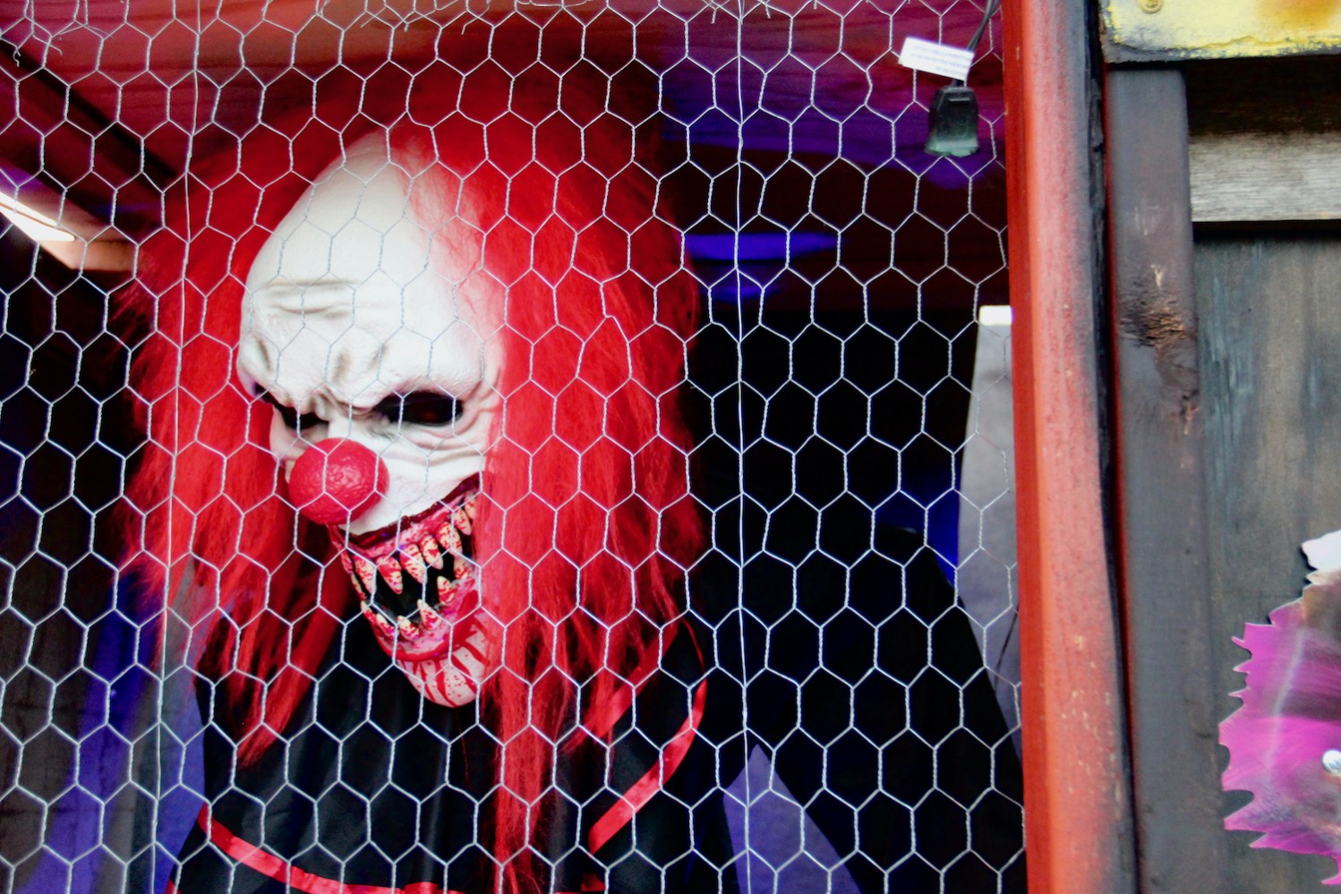 Halloween Carnival 2019 Part 1 - 14