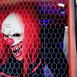 Halloween Carnival 2019 - Part 1 - Halloween Carnival 2019 Part 1 - 14