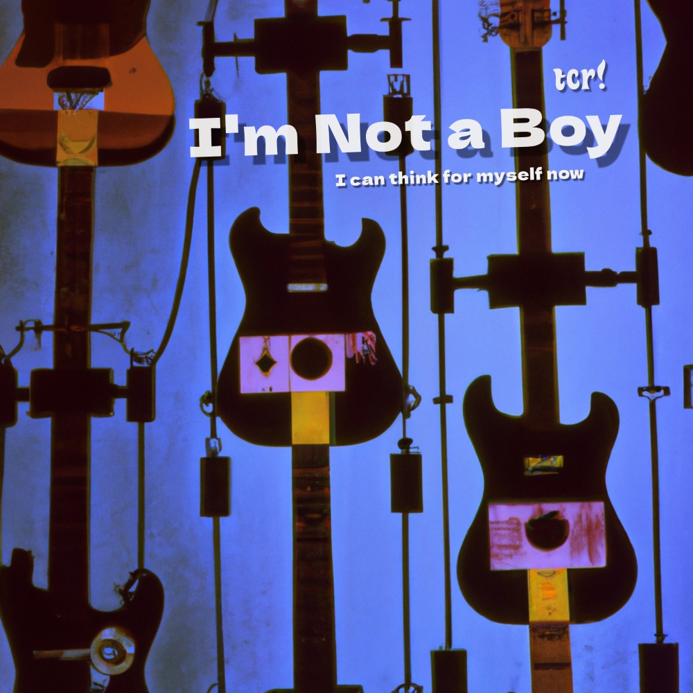 Rev Sexton came home - tcr! - Rev Sexton came home - I'm Not A Boy, 3:10