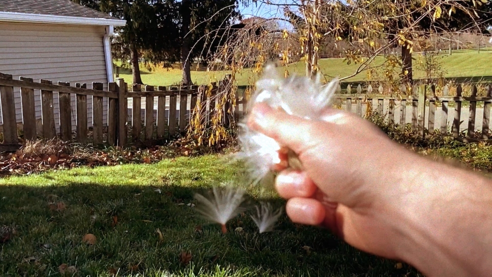 Synthetic Mixer, Volume One - tcr! - synthetic mixer, volume one - slow mo milkweed (video)