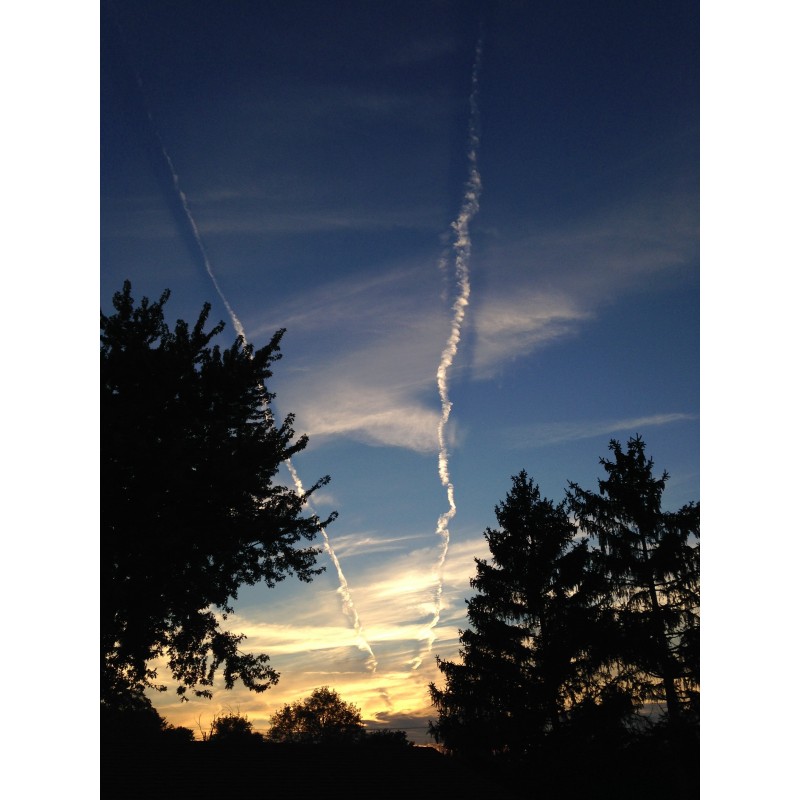 Peeps, the sunset is epic - photo print - Primary Image
