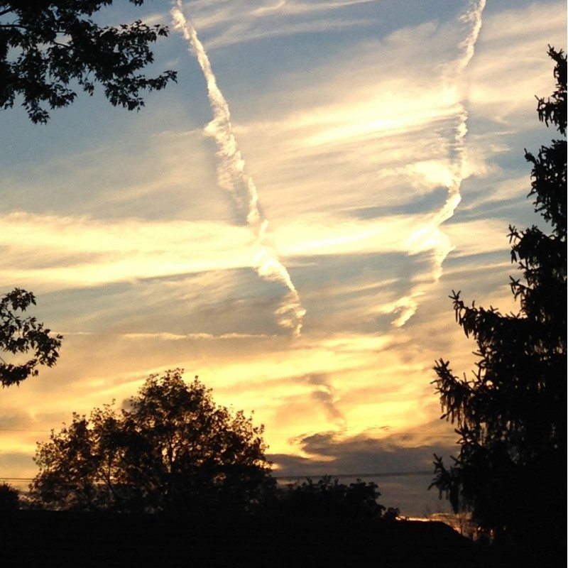 Peeps, the sunset is epic - photo print - Additional Image 3