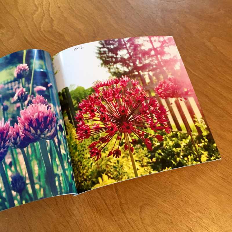 2015 Photo Book - Additional Image 4
