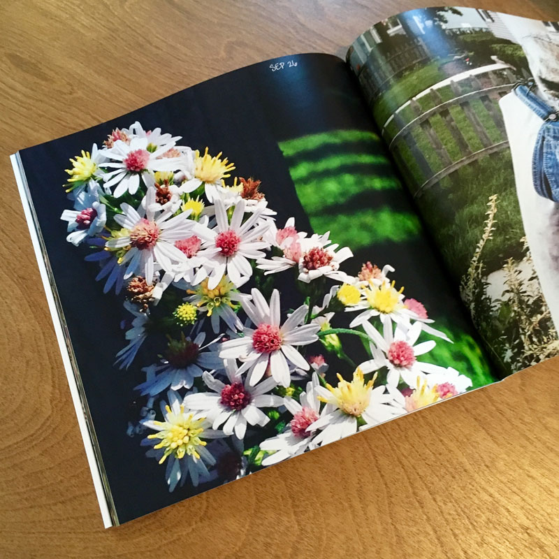 2015 Photo Book - Additional Image 6