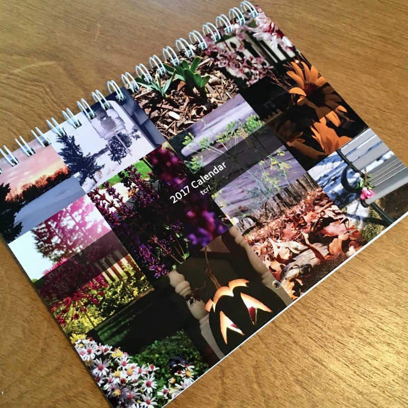 2017 Calendar - Primary Image