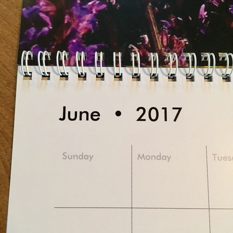 2017 Calendar - Additional Image 4
