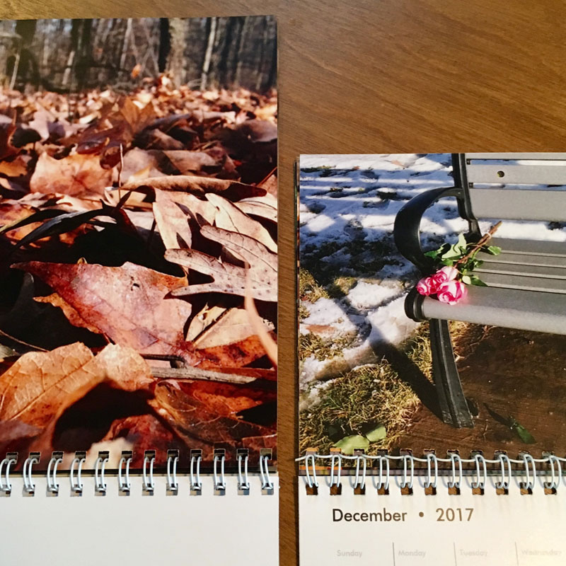 2017 Calendar - Additional Image 5