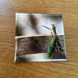 A praying mantis in the garage - 2 inch magnet