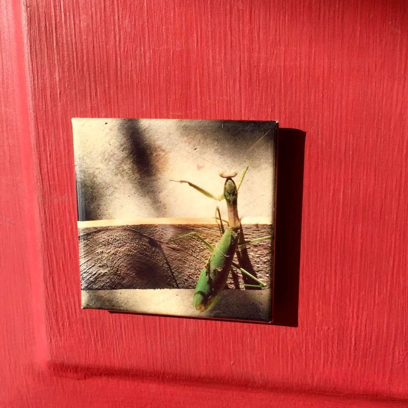 A praying mantis in the garage - 2 inch magnet - Additional Image 2