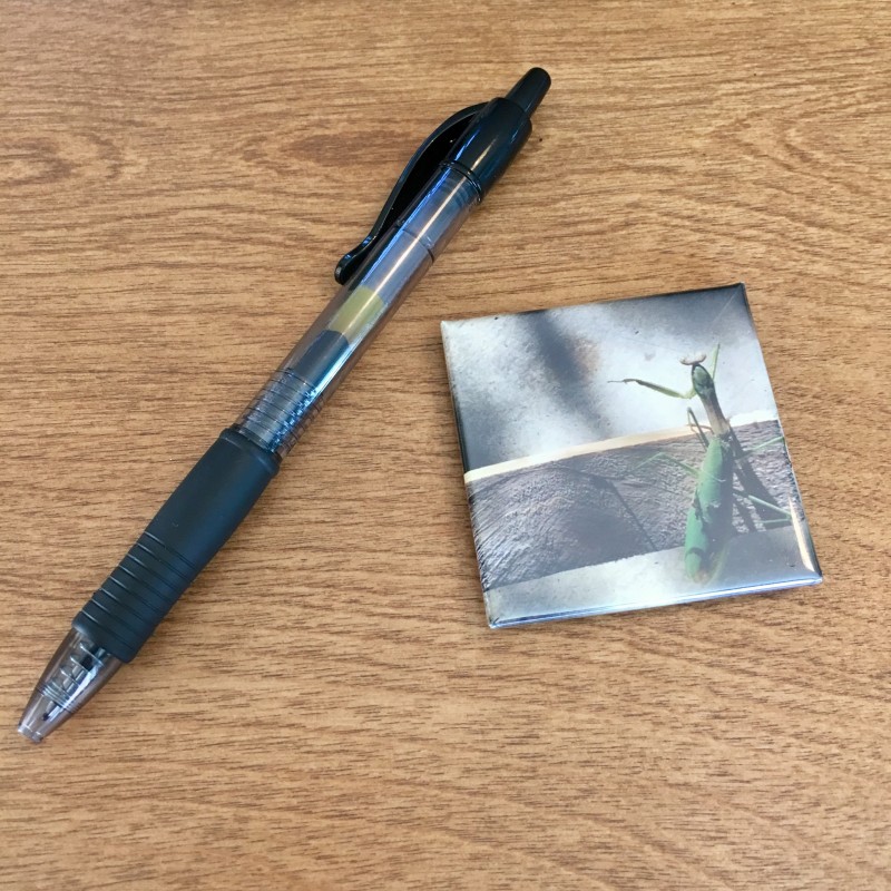 A praying mantis in the garage - 2 inch magnet - Additional Image 1