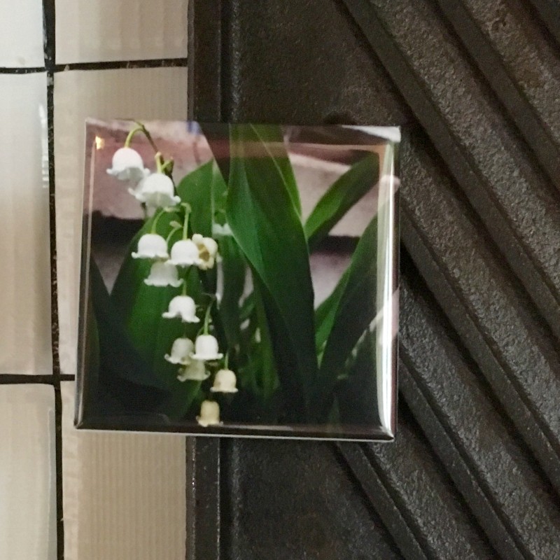 Adorable Lily of the Valley - 2 inch magnet - Additional Image 3