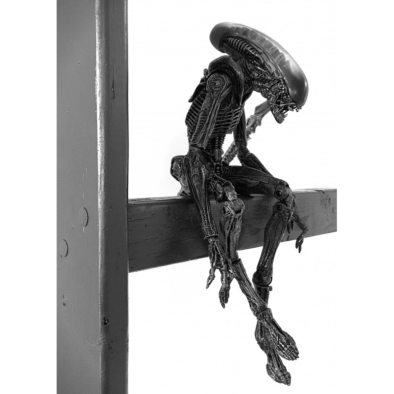 Alien on ladder (black and white) - photo print - Primary Image