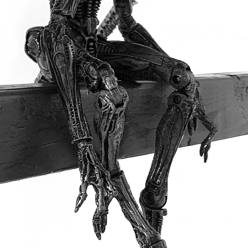 Alien on ladder (black and white) - photo print - Additional Image 2