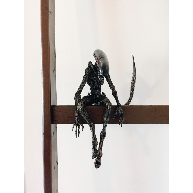 Alien on ladder - photo print - Primary Image