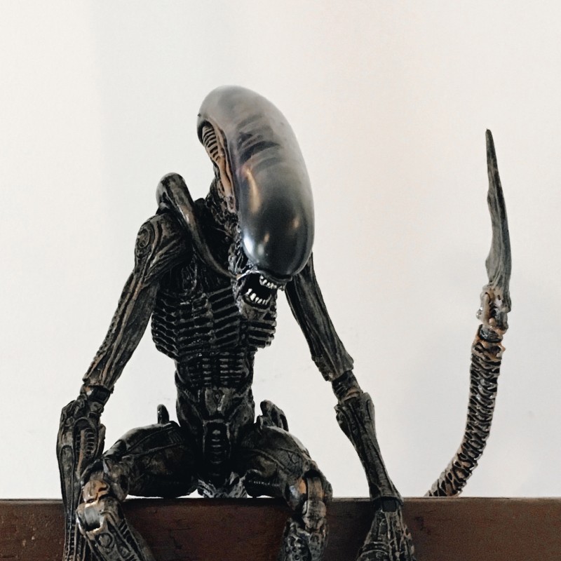 Alien on ladder - photo print - Additional Image 1