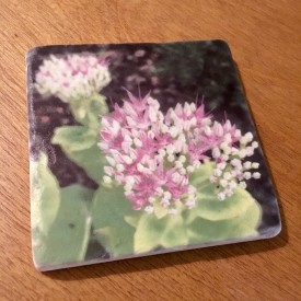 Another pink and white flower - marble coaster