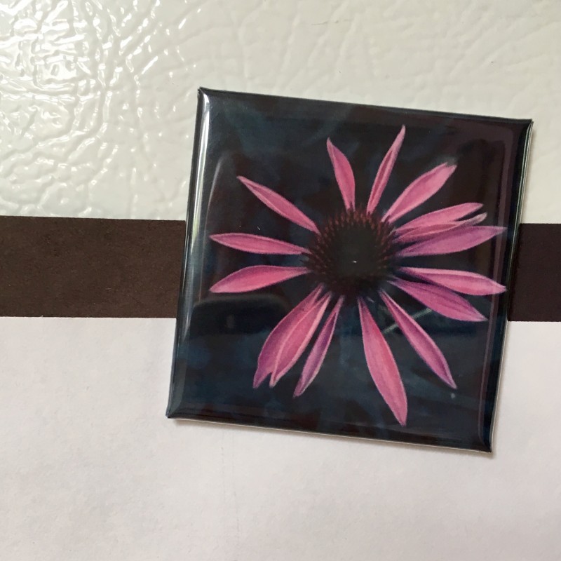 Baby Purple Coneflower - 2 inch magnet - Primary Image