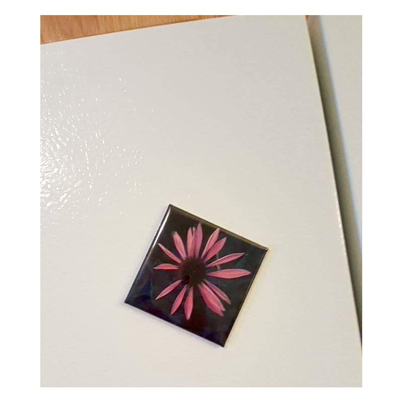 Baby Purple Coneflower - 2 inch magnet - Additional Image 4