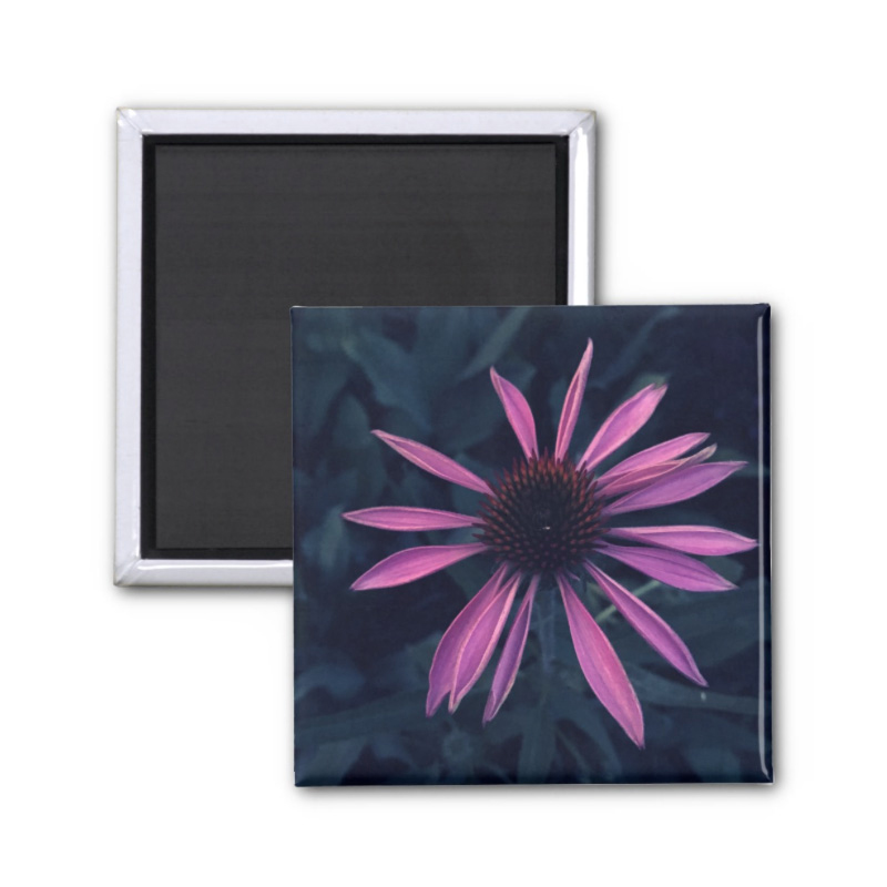 Baby Purple Coneflower - 2 inch magnet - Additional Image 6