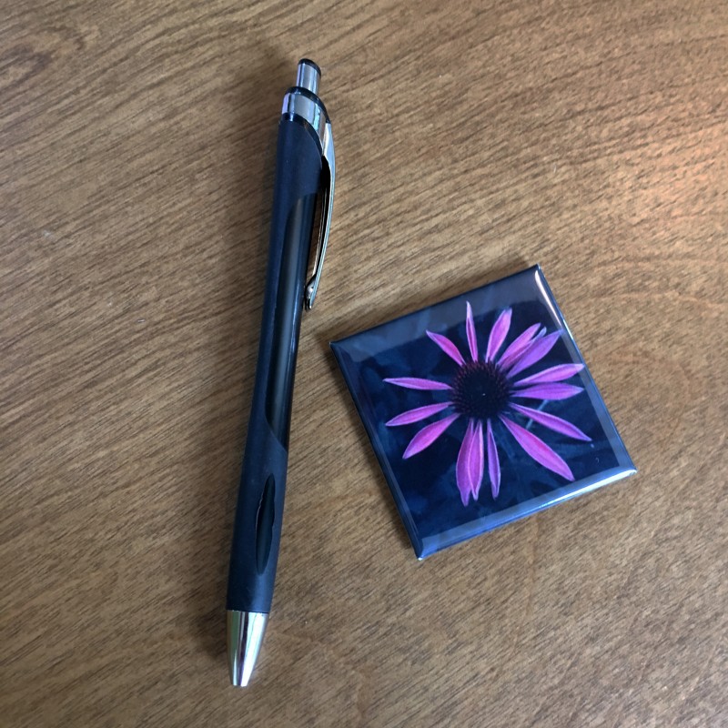 Baby Purple Coneflower - 2 inch magnet - Additional Image 1