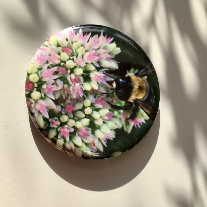 Bee with purple wings on flowers - 2.25 inch magnet - Additional Image 2