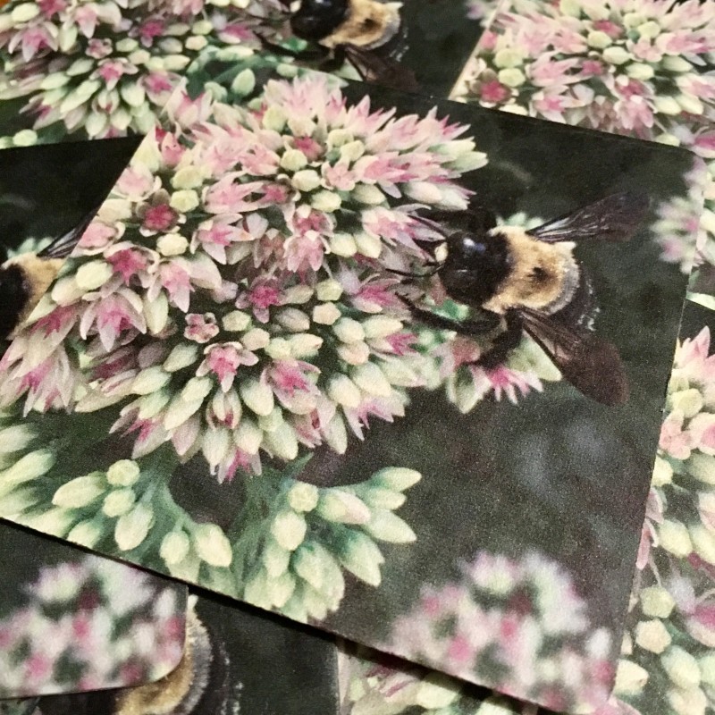 Bee with purple wings on flowers - coaster set - Additional Image 1