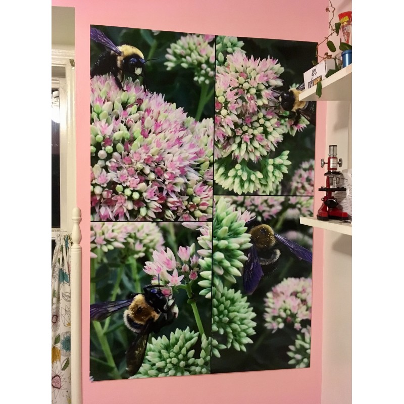 Bee with purple wings on flowers collage - photo print - Additional Image 6