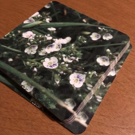 Blooming Spiderwort on Mother’s Day - coaster set