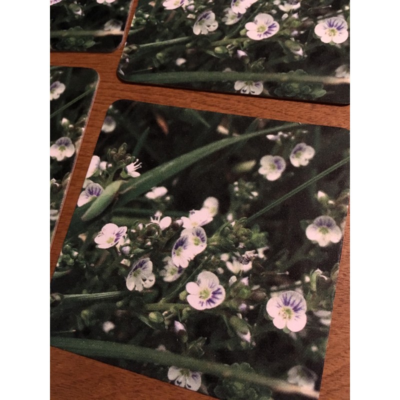 Blooming Spiderwort on Mother’s Day - coaster set - Additional Image 1