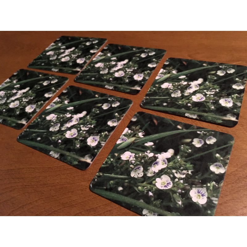 Blooming Spiderwort on Mother’s Day - coaster set - Additional Image 2