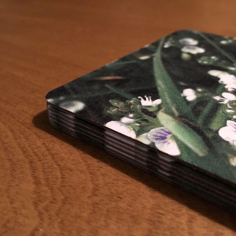 Blooming Spiderwort on Mother’s Day - coaster set - Additional Image 3