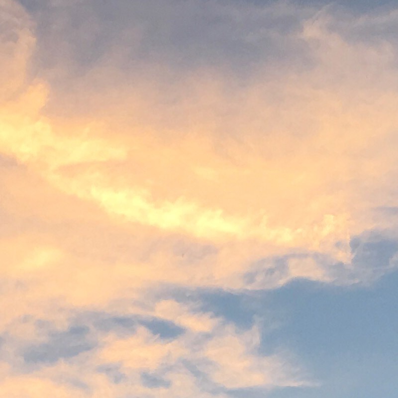 Evergreen silhouette against painted clouds - photo print - Additional Image 2
