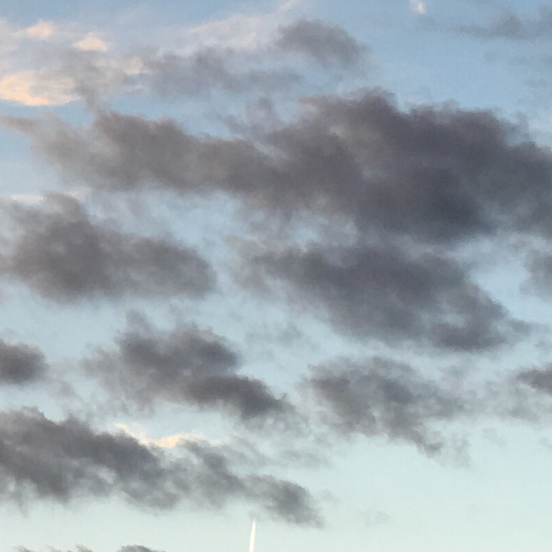 Evergreen silhouette against painted clouds - photo print - Additional Image 3