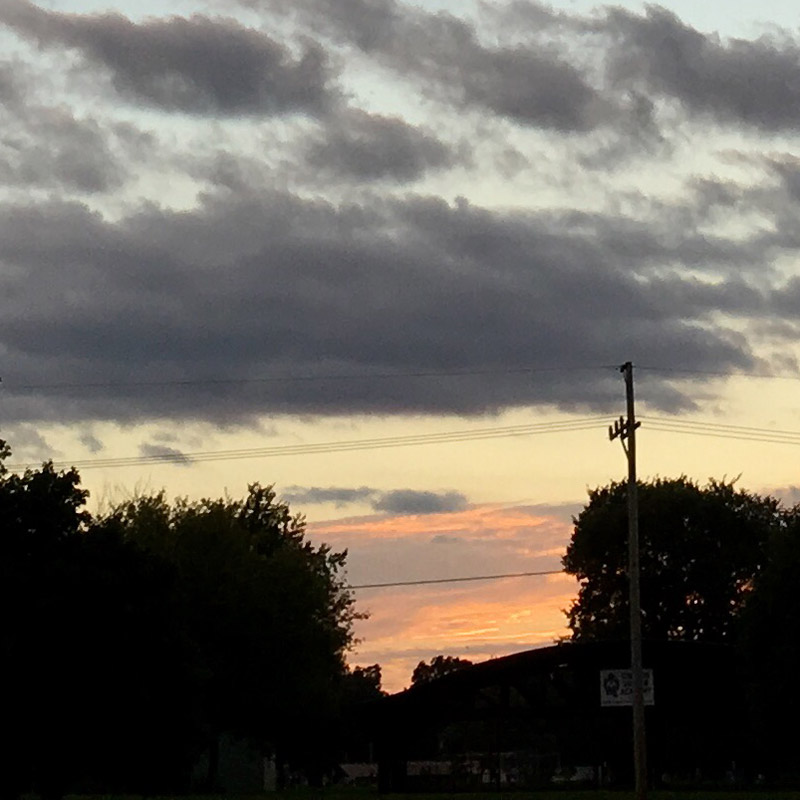 Evergreen silhouette against painted clouds - photo print - Additional Image 4