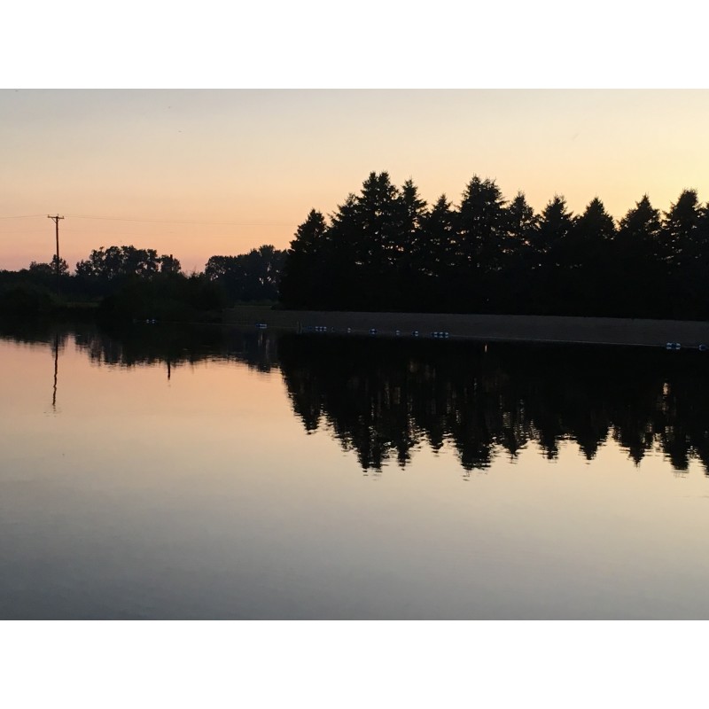 Evergreen silhouettes on the lake - photo print - Primary Image