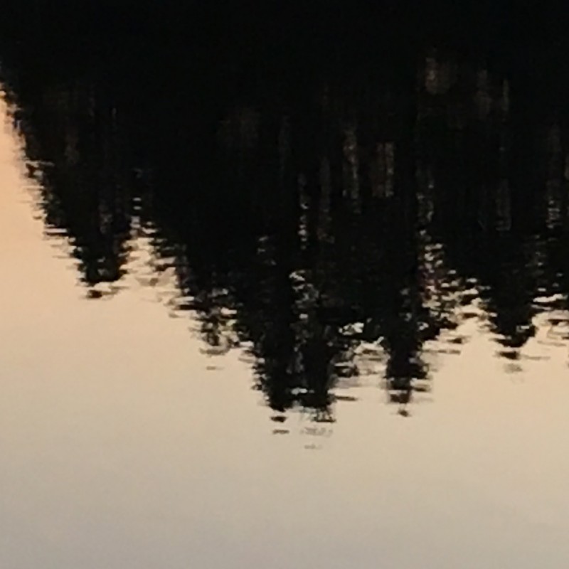 Evergreen silhouettes on the lake - photo print - Additional Image 3
