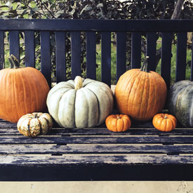 Finally got some pumpkins for 2016 - photo print