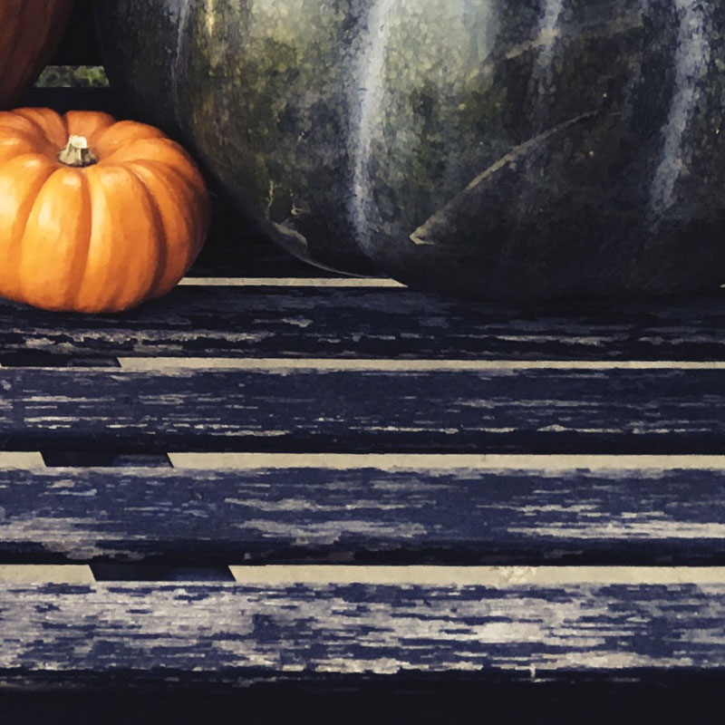 Finally got some pumpkins for 2016 - photo print - Additional Image 3