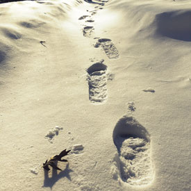 Footprints in the snow - photo print