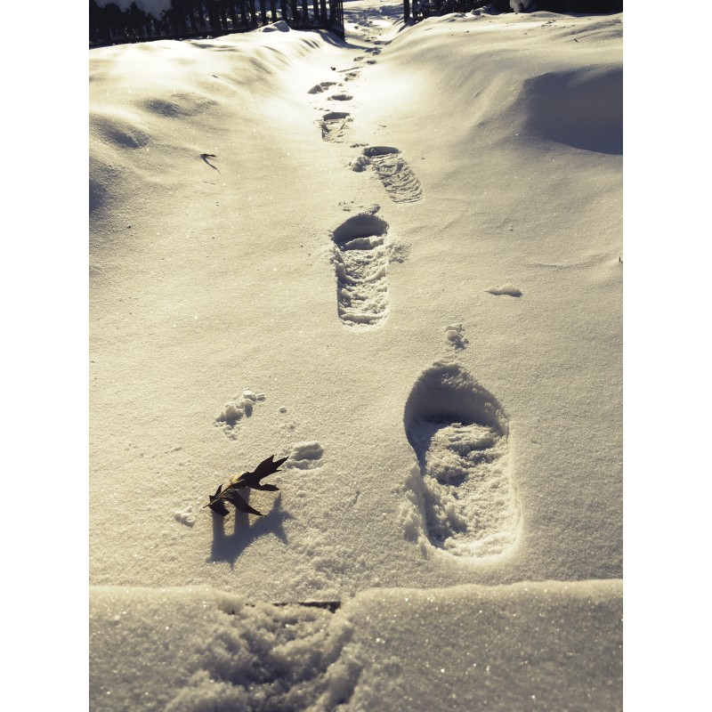 Footprints in the snow - photo print - Primary Image
