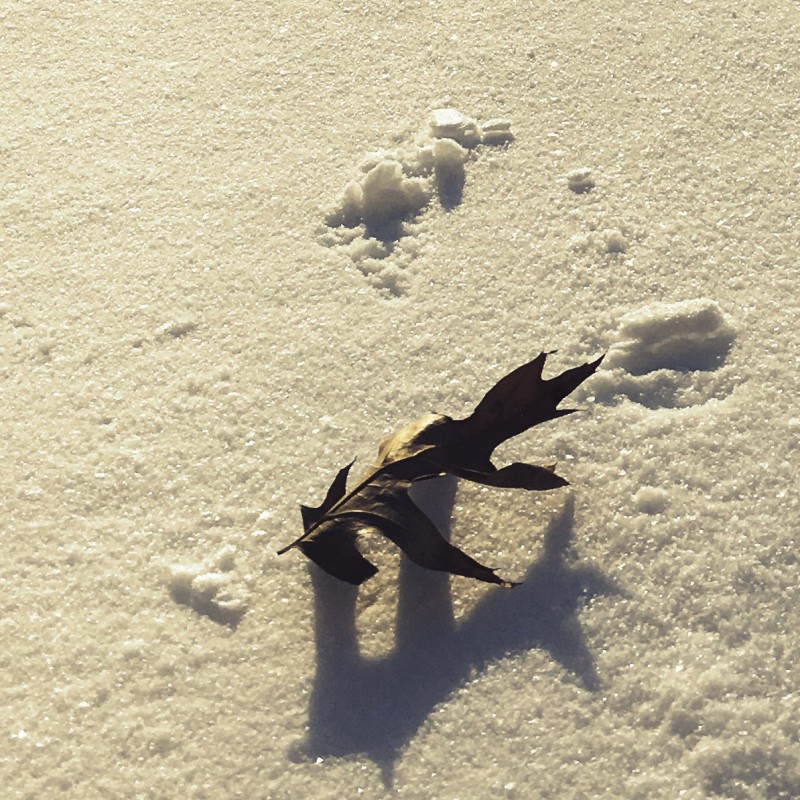 Footprints in the snow - photo print - Additional Image 2