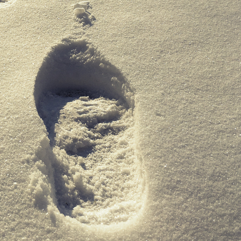Footprints in the snow - photo print - Additional Image 3