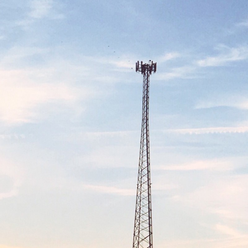 Happy early morning, peeps (tower) - photo print - Additional Image 2