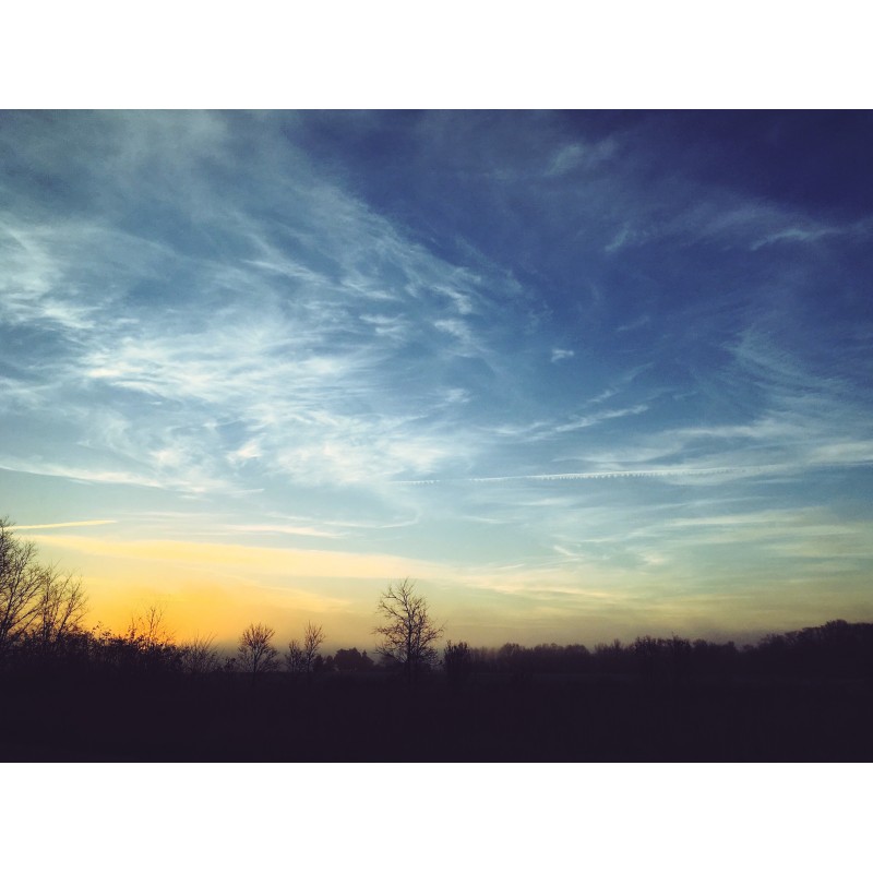 Happy early morning, peeps (trails) - photo print - Primary Image