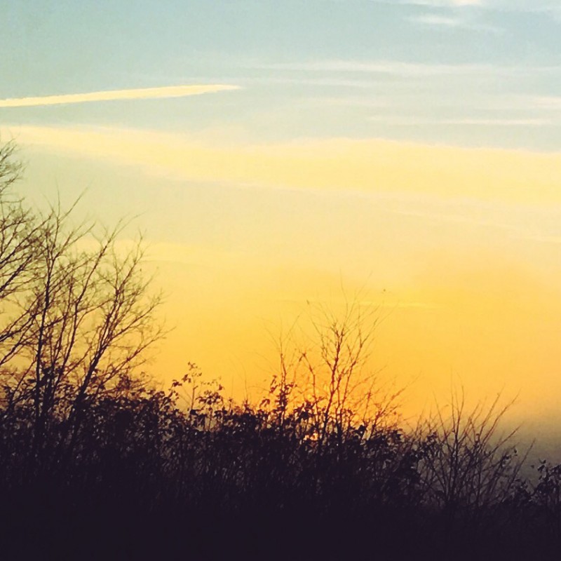 Happy early morning, peeps (trails) - photo print - Additional Image 3