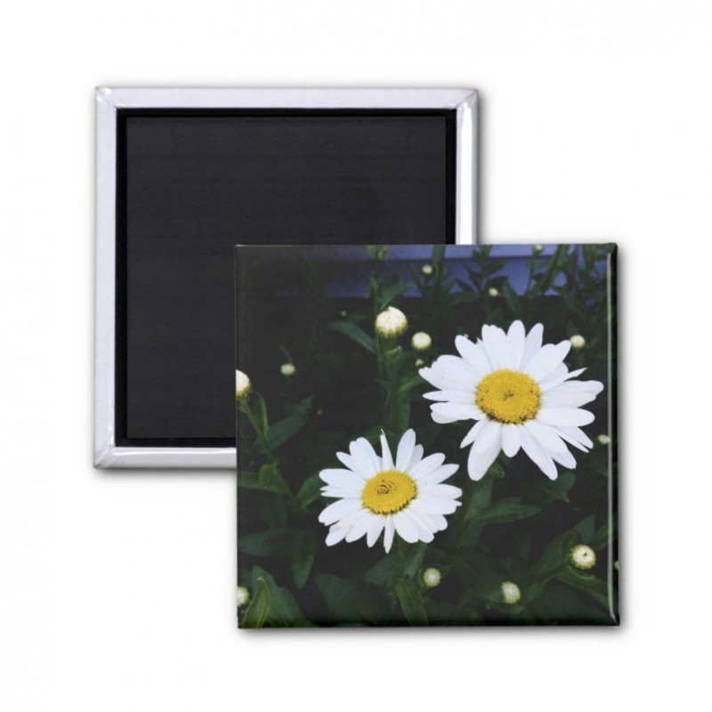 Happy lazy, daisy - 2 inch magnet - Additional Image 8