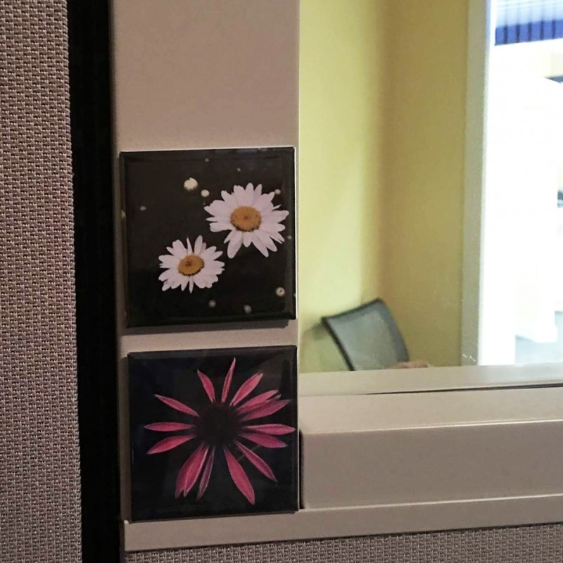 Happy lazy, daisy - 2 inch magnet - Additional Image 6