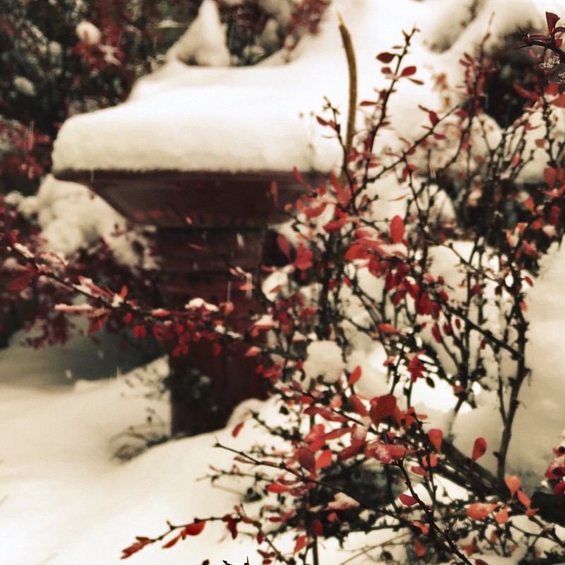 Happy, snowy peeps! - photo print - Additional Image 1
