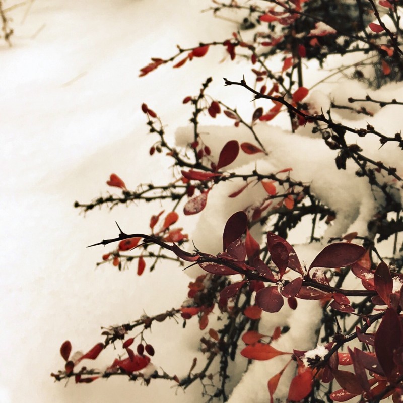 Happy, snowy peeps! - photo print - Additional Image 3